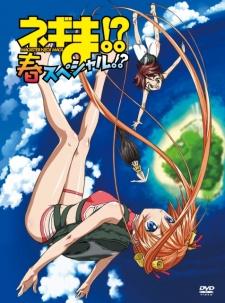 Cover Image of Mahou Sensei Negima! OVA Haru