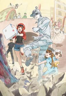 Cover Image of Hataraku Saibou