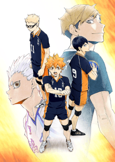 Cover Image of Haikyuu!! TO THE TOP