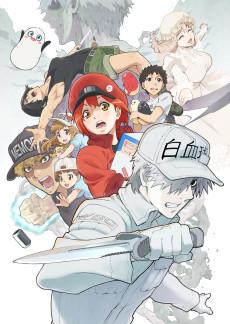 Cover Image of Hataraku Saibou!!