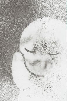 Cover Image of CHARON Meiosei no kodoku