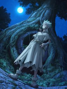 Cover Image of Dr. STONE: NEW WORLD