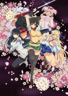 Cover Image of Senran Kagura