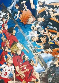 Cover Image of Haikyuu!!: Gomi Suteba no Kessen