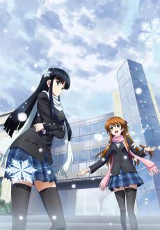 Cover Image of WHITE ALBUM 2