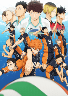 Cover Image of Haikyuu!!