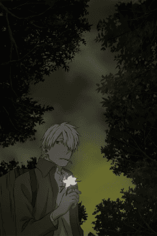 Cover Image of Mushishi: Hihamukage