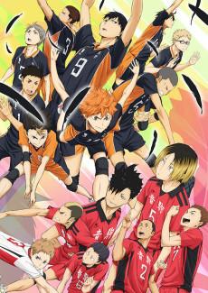 Cover Image of Haikyuu!!: Owari to Hajimari