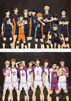 Cover Image of Haikyuu!!: Karasuno Koukou VS Shiratorizawa Gakuen Koukou