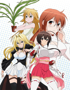 Cover Image of Sekirei