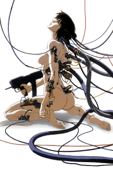 Cover Image of GHOST IN THE SHELL: Koukaku Kidoutai