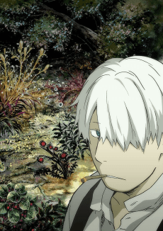 Cover Image of Mushishi