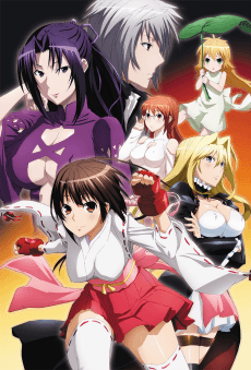 Cover Image of Sekirei: Pure Engagement