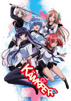 Cover Image of Kämpfer