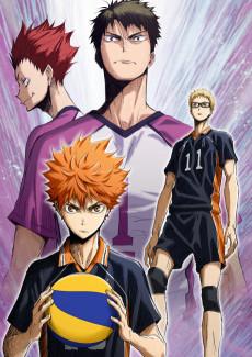 Cover Image of Haikyuu!!: Concept no Tatakai